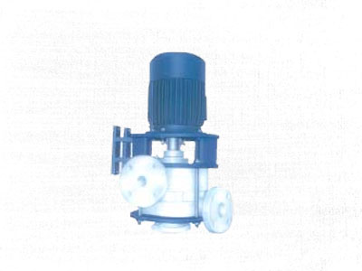 Vertical Glandless PP Pumps